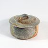 Lisa Hammond Tan Casserole